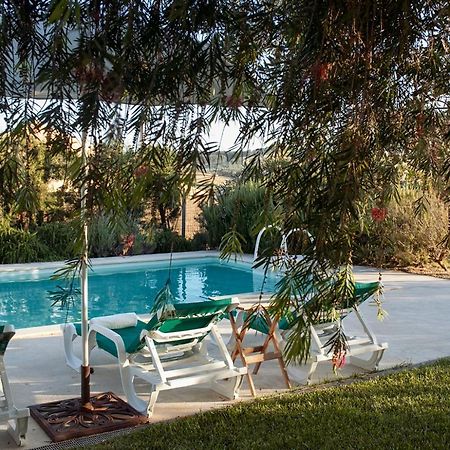 Casa Das Alfazemas Com Piscina, Jardim E Snooker Adao Lobo Eksteriør bilde