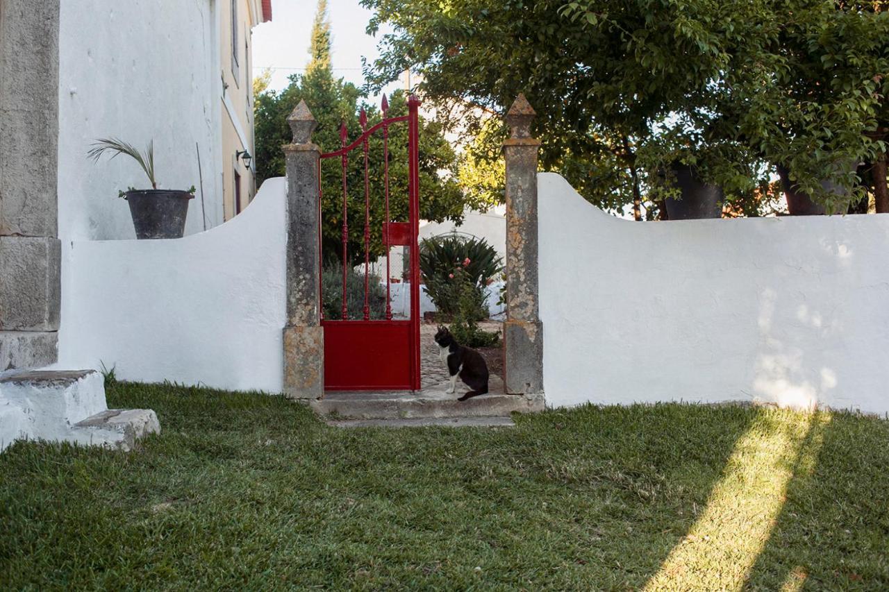 Casa Das Alfazemas Com Piscina, Jardim E Snooker Adao Lobo Eksteriør bilde
